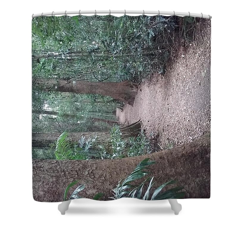 Landscape Shower Curtain featuring the photograph Mary Cairncross Rainforest #2 by Cassy Allsworth