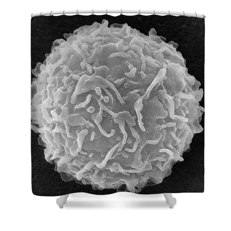 Biology Shower Curtain featuring the photograph Mast Cell SEM by Don Fawcett and E Shelton and Photo Researchers
