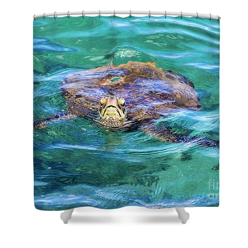Maui Shower Curtain featuring the photograph Maui Sea Turtle by Eddie Yerkish