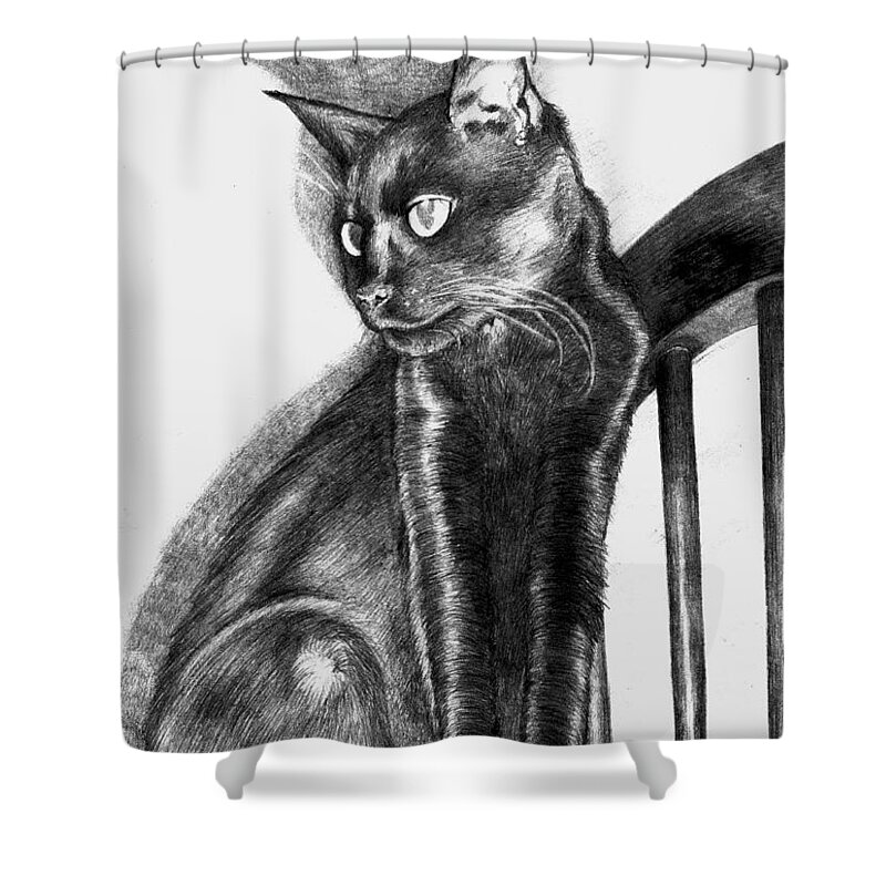 Siamese Shower Curtain featuring the drawing Maurice by Shawna Rowe