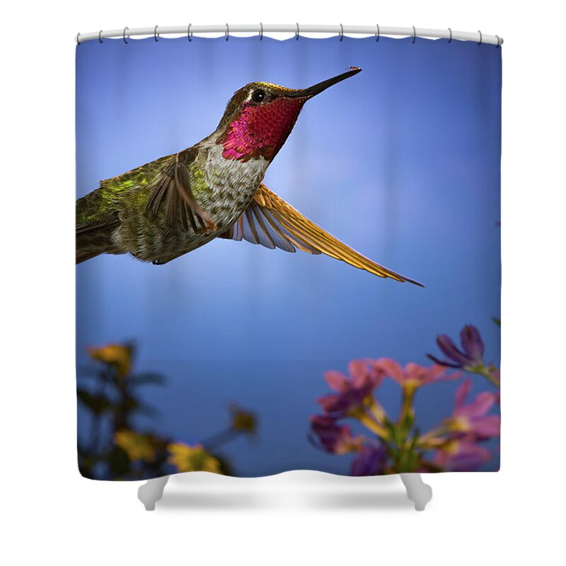 Hummingbird Shower Curtain featuring the photograph May I help you sir? by William Lee