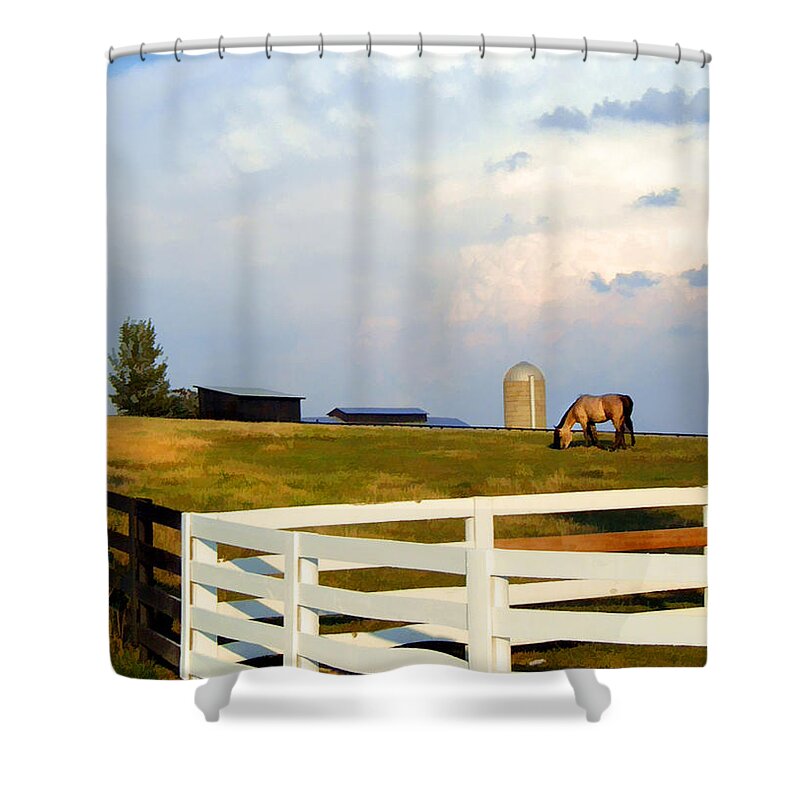 Landscape Shower Curtain featuring the photograph McRay's Sky by Sam Davis Johnson