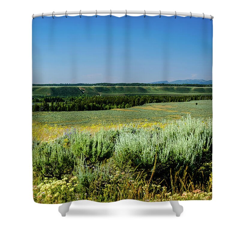 Grand Tetons Shower Curtain featuring the photograph Meadow, Grand Tetons by Aashish Vaidya