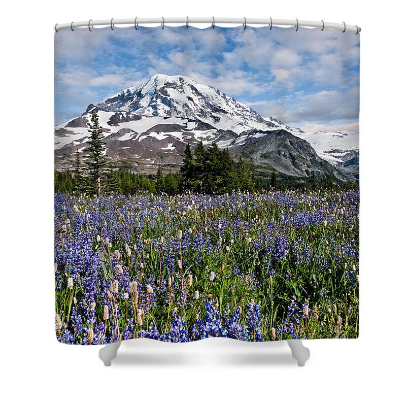 Alpine Shower Curtain featuring the photograph Meadow of Lupine Near Mount Rainier by Jeff Goulden