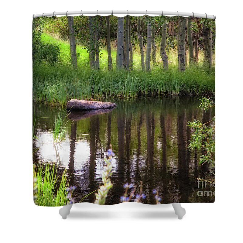 Meadow Shower Curtain featuring the photograph Meadow Pond by Anthony Michael Bonafede