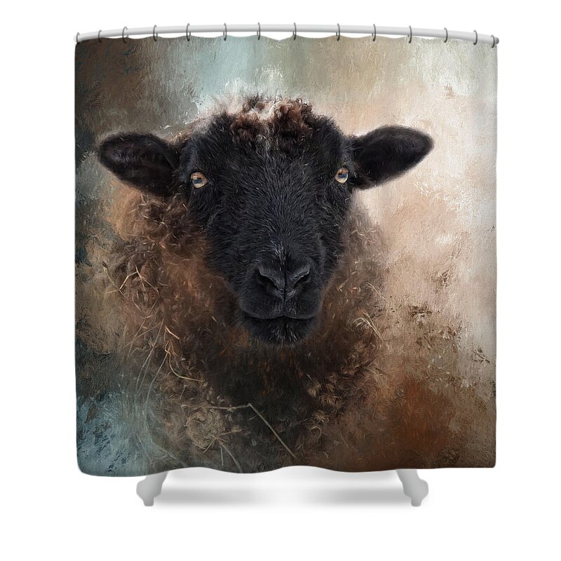 Sheep Shower Curtain featuring the photograph Meadow by Robin-Lee Vieira