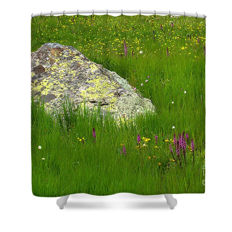 Mountain Wildflowers; Mountain Flowers Shower Curtain featuring the photograph Meadow Rock by Jim Garrison