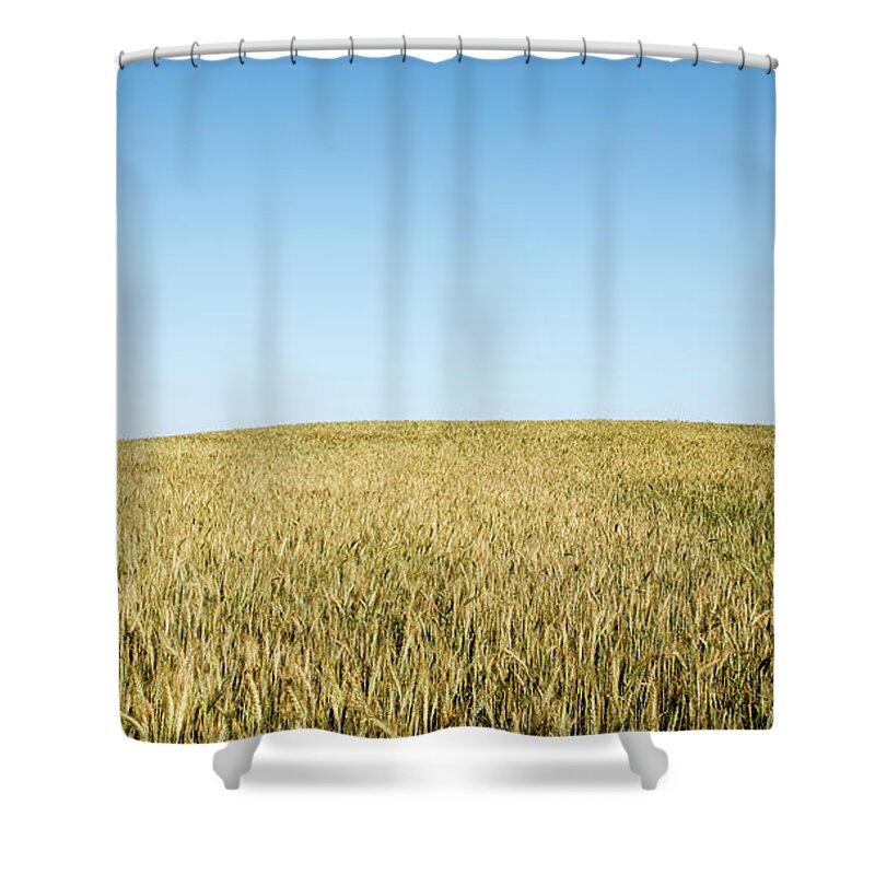 Nature Landscape Shower Curtain featuring the photograph Nature landscape background by Michalakis Ppalis