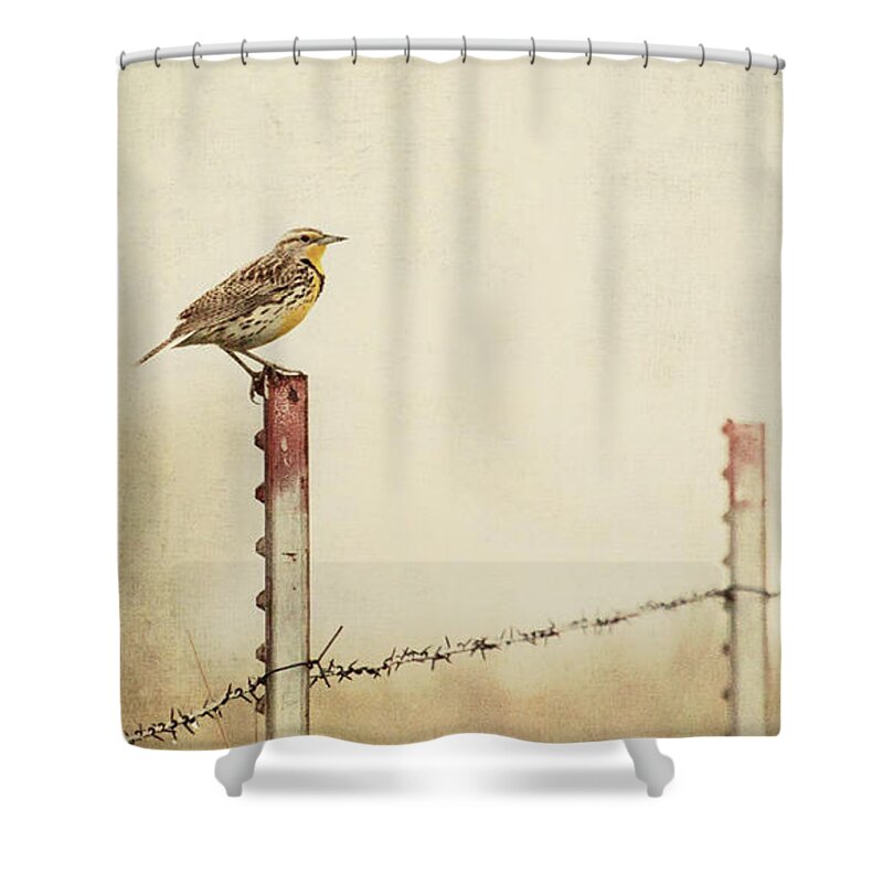 Birds Shower Curtain featuring the photograph Meadowlark on a Post by Pam Holdsworth