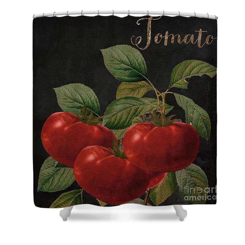 Tomato Shower Curtain featuring the painting Medley Tomato by Mindy Sommers