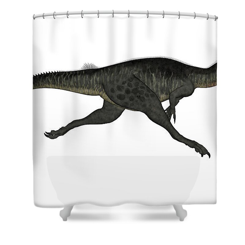 Dinosaur Shower Curtain featuring the digital art Megalosaurus Dinosaur Running, White by Elena Duvernay