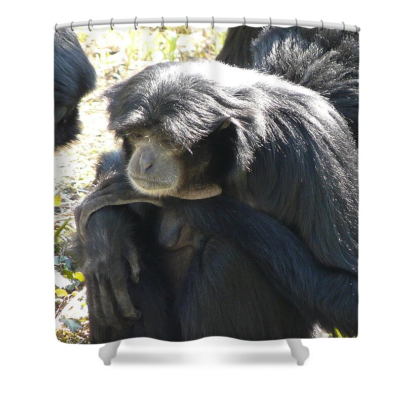 Animal Shower Curtain featuring the photograph Melancholy by Valerie Ornstein