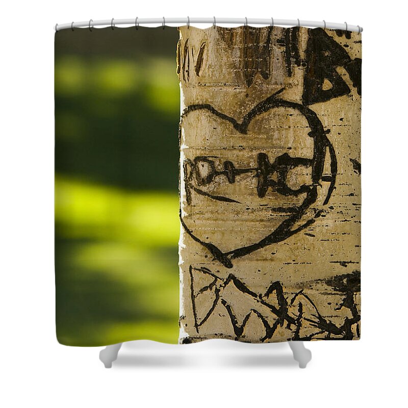 Carvings Shower Curtain featuring the photograph Memories in the Aspen Tree by James BO Insogna