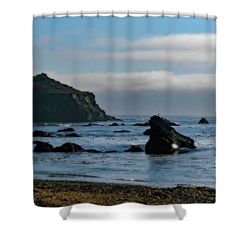 Mendocino Coast Shower Curtain featuring the photograph Mendocino Coast No. 1 by Sandy Taylor