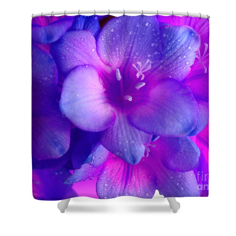 Freesia Shower Curtain featuring the photograph Merely A Dream by Krissy Katsimbras