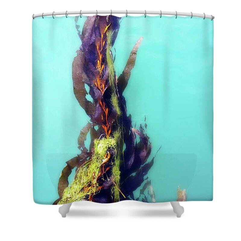 Mermaid Shower Curtain featuring the photograph Mermaid by Christina Ochsner
