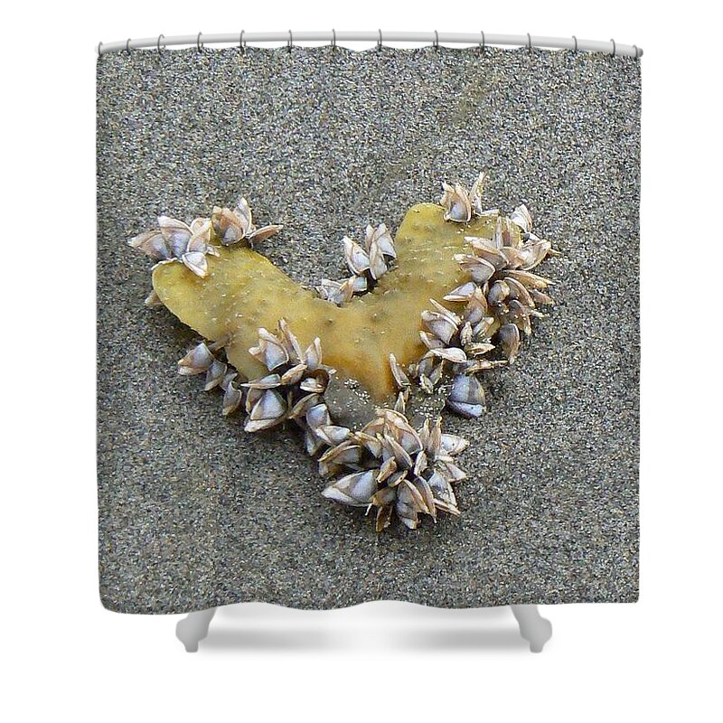 Sea Shells Shower Curtain featuring the photograph Message from Atlantis by Pamela Patch