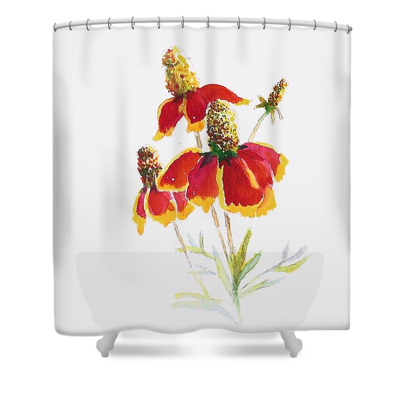 Wildflower Shower Curtain featuring the painting Mexican Hat by Celene Terry