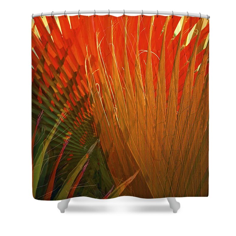Mexican Palm Shower Curtain featuring the photograph Mexican Palm by Gwyn Newcombe