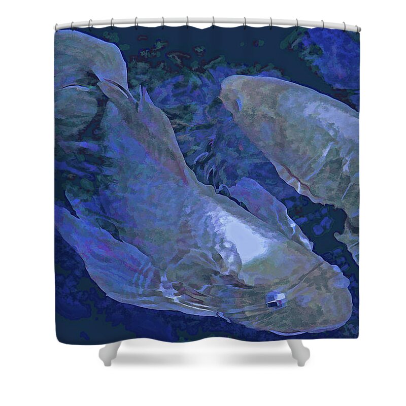 Koi Shower Curtain featuring the photograph Midnight Blue Koi by HH Photography of Florida