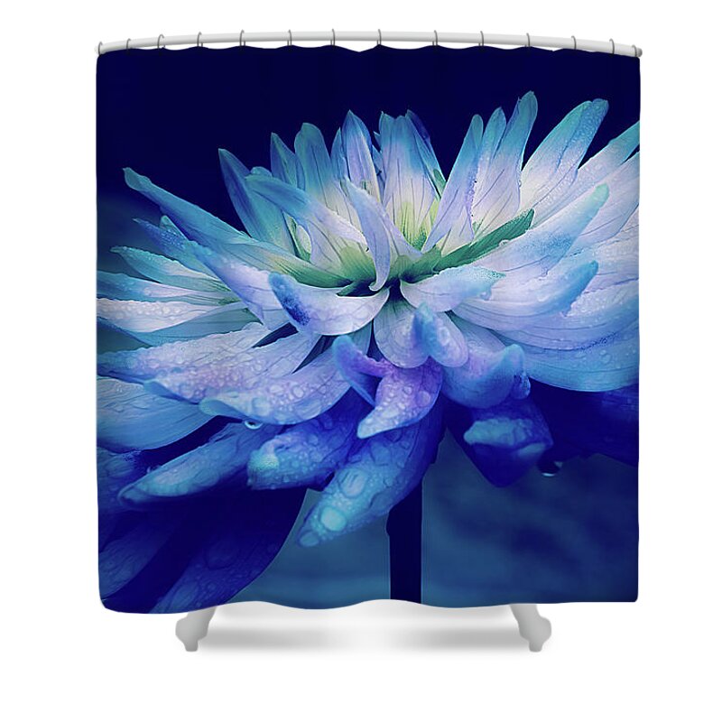 Dahlia Shower Curtain featuring the photograph Midnight Dahlia and Drops by Julie Palencia