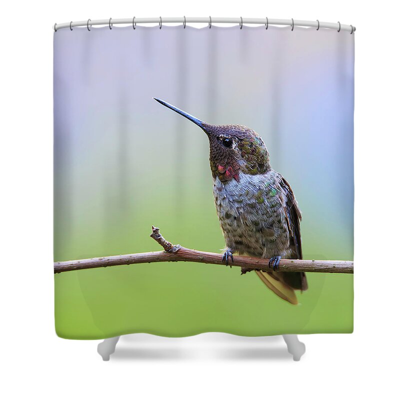 Bird Shower Curtain featuring the photograph Midsummer Night's Dream II by Briand Sanderson