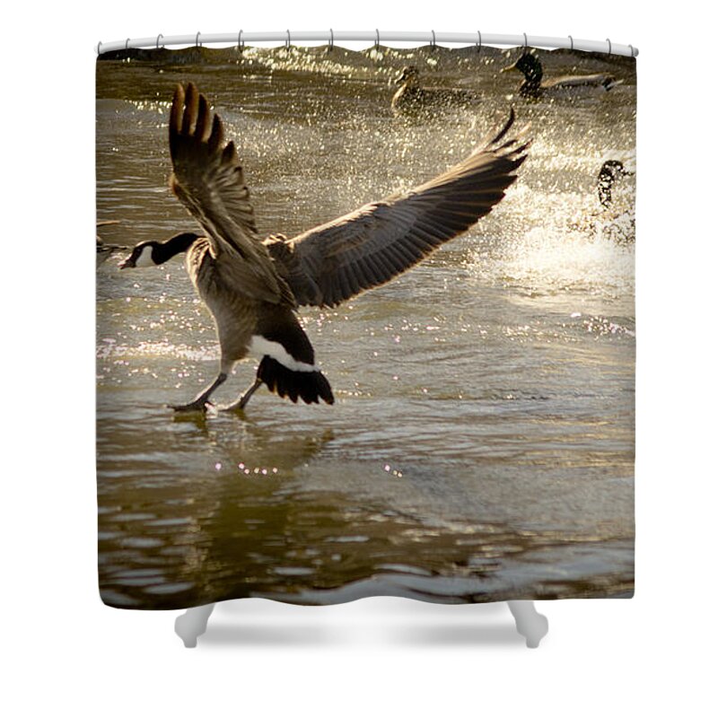 Lwater Shower Curtain featuring the photograph Minden 4 by Catherine Sobredo