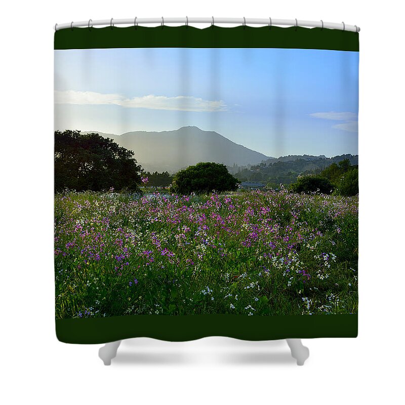 Spring Shower Curtain featuring the photograph Milkmaids Flowers and Mt. Tamalpais by Brian Tada
