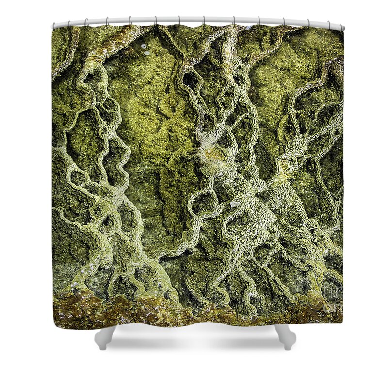 Yellowstone Shower Curtain featuring the photograph Mineral Abstract by Robert Bales
