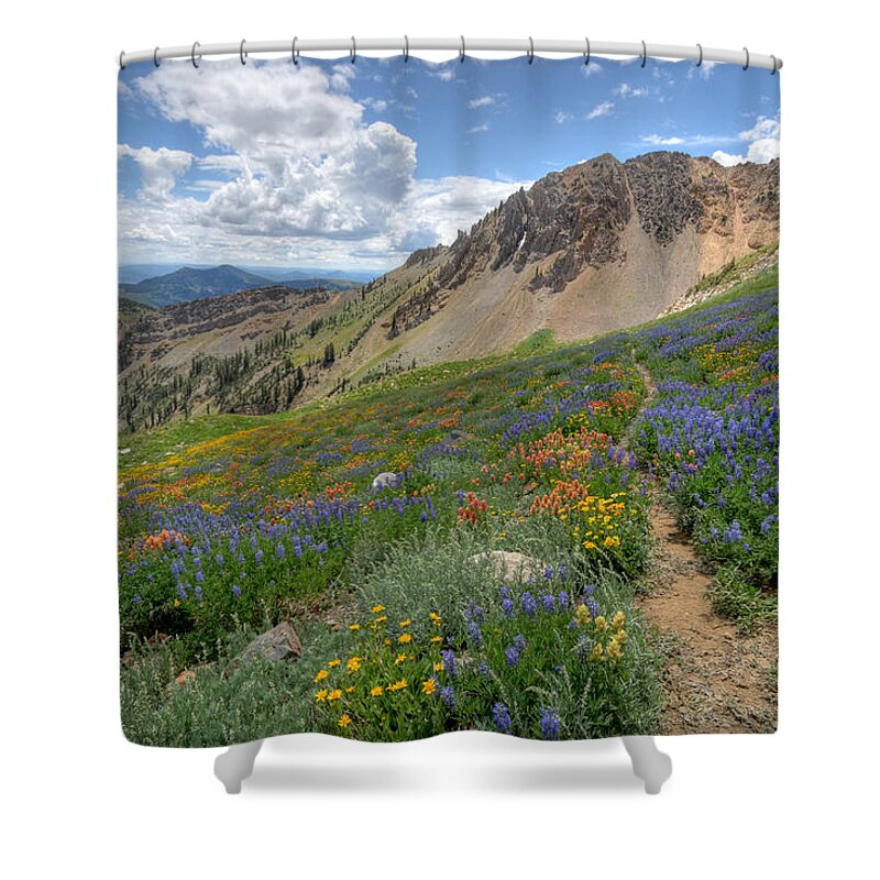 Wildflower Shower Curtain featuring the photograph Mineral Basin Wildflowers by Brett Pelletier