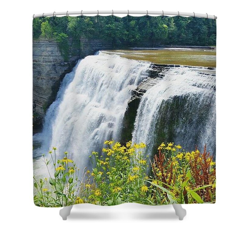 Falls Shower Curtain featuring the photograph Mini Falls by Raymond Earley
