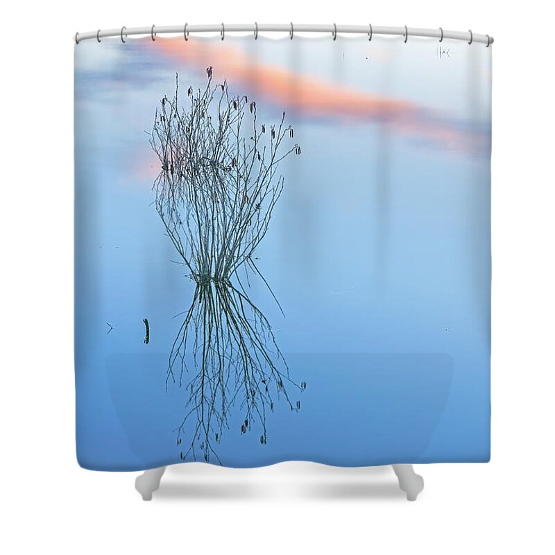 Mass Audubon Shower Curtain featuring the photograph Minimalism by Juergen Roth