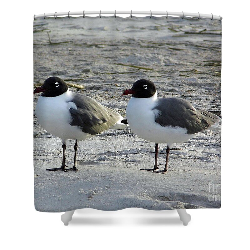 Gull Shower Curtain featuring the photograph Mirror Image by D Hackett