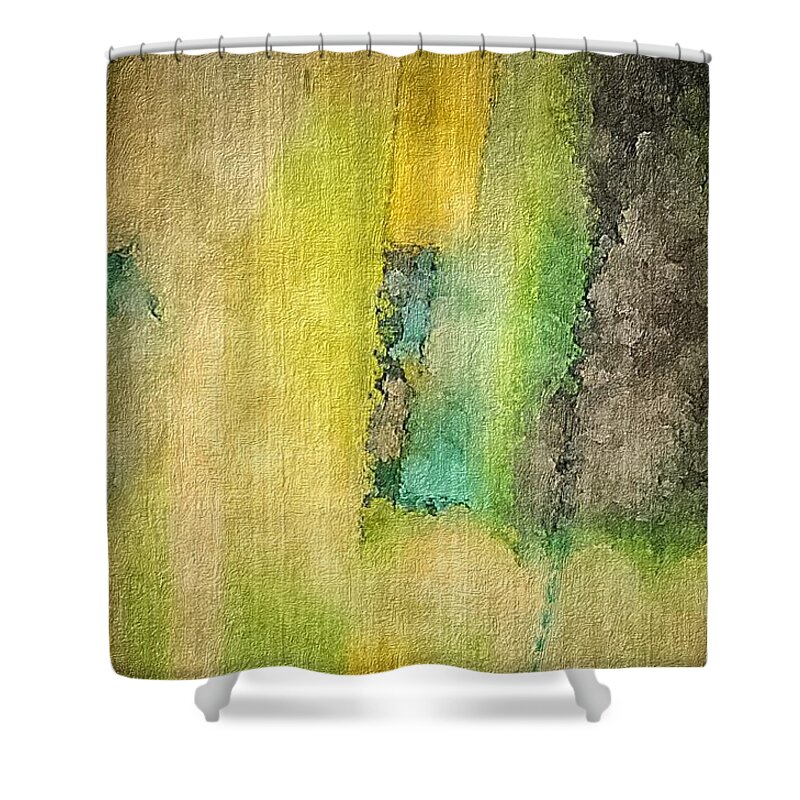 Abstract Shower Curtain featuring the photograph Mirror by William Wyckoff