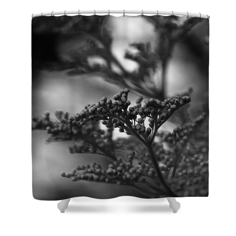 Silver Shower Curtain featuring the photograph Mirrored In Sterling by Linda Shafer