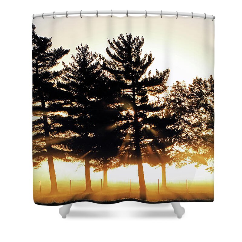 Fog Shower Curtain featuring the photograph Missouri Tree Line by Christopher McKenzie