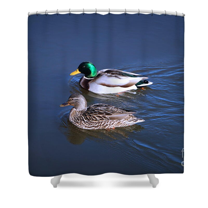 Mallard Shower Curtain featuring the photograph Mister and Misses Mallard by Elizabeth Dow