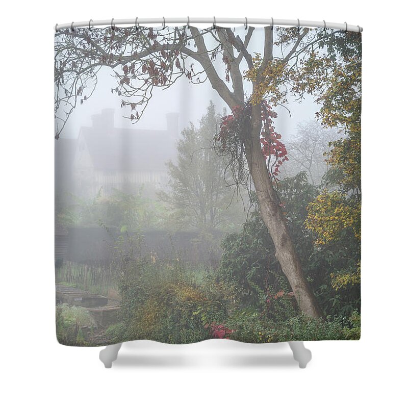 Plants Shower Curtain featuring the photograph Misty Garden, Great Dixter 2 by Perry Rodriguez