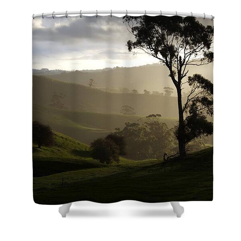 Landscapes Shower Curtain featuring the photograph Misty by Lee Stickels