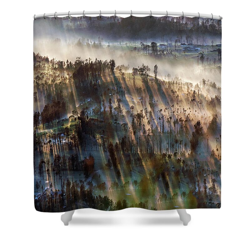 Landscape Shower Curtain featuring the photograph Misty morning by Pradeep Raja Prints