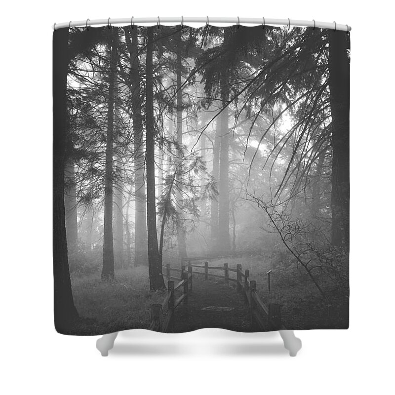 Mist Shower Curtain featuring the digital art Misty Path by Kevyn Bashore