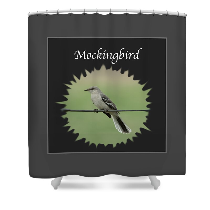 Mockingbird Shower Curtain featuring the photograph Mockingbird   by Holden The Moment