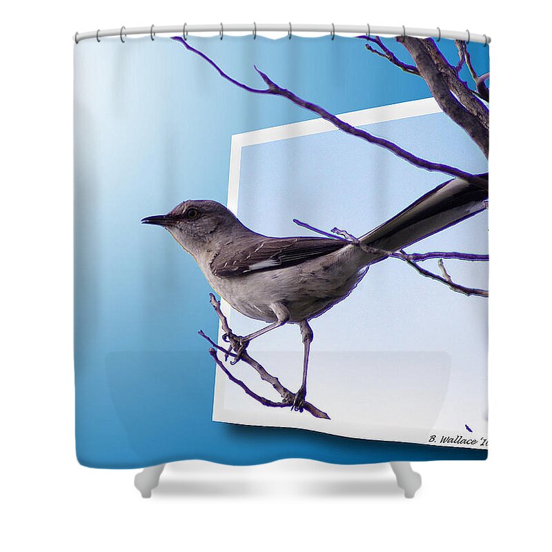 2d Shower Curtain featuring the photograph Mockingbird Branch by Brian Wallace