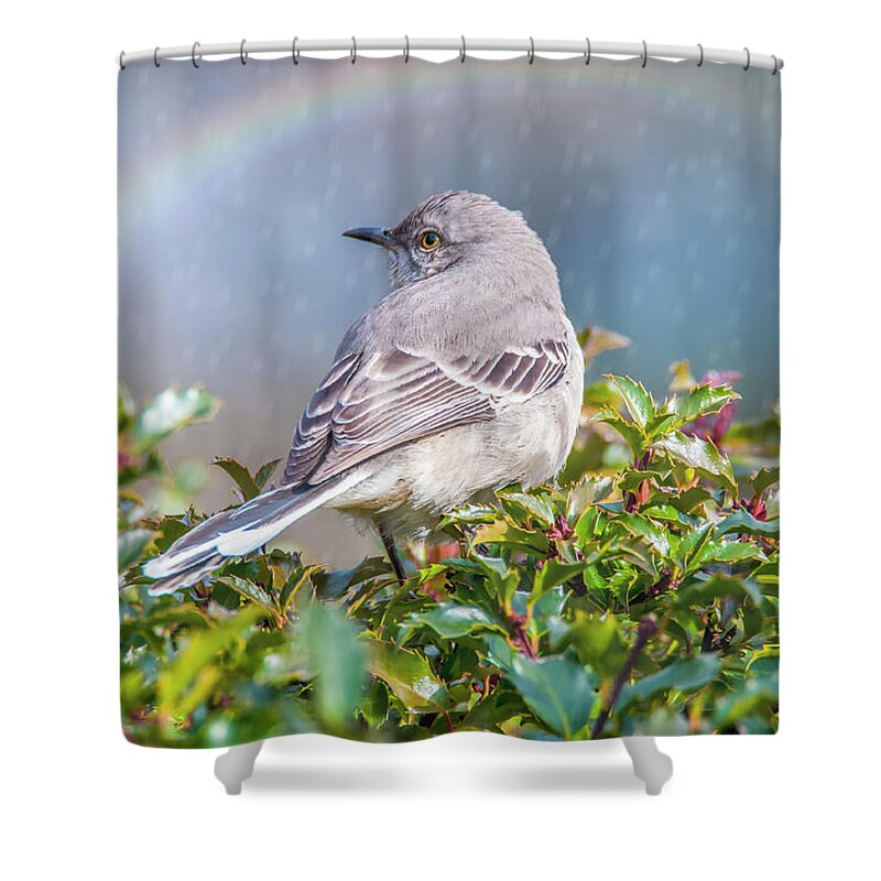 Mockingbird Shower Curtain featuring the photograph Mockingbird Rainbow by Cathy Kovarik