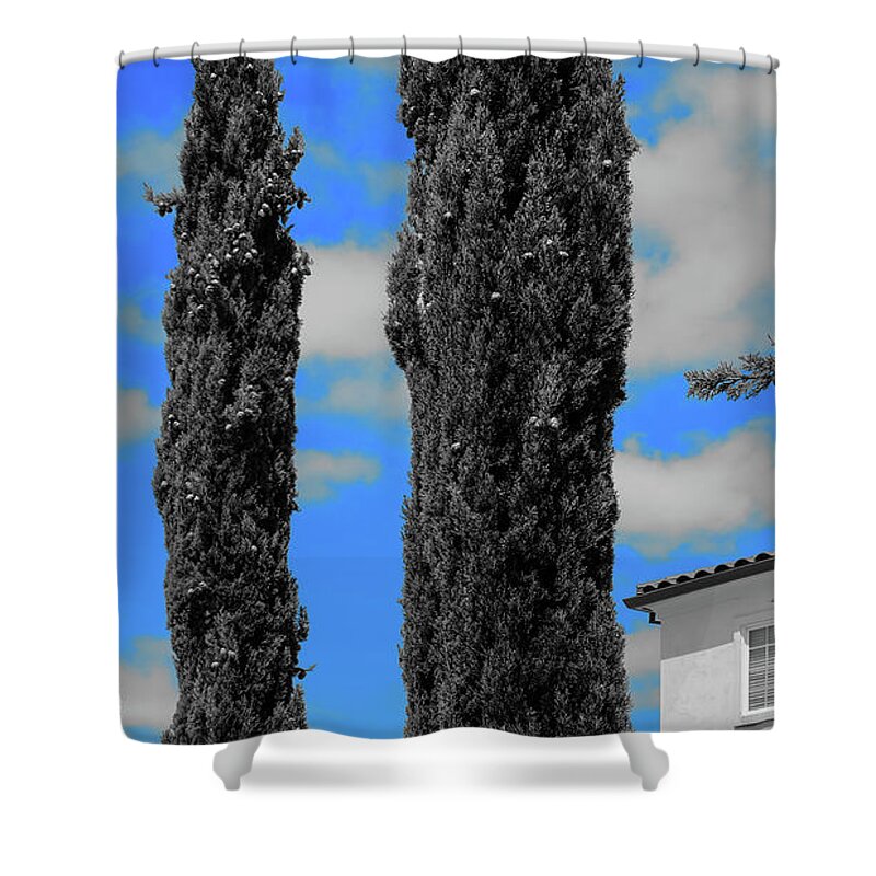 Modern House Shower Curtain featuring the photograph Modern Suburban House Hayward Hills with Cedar Trees Hayward California 36 by Kathy Anselmo