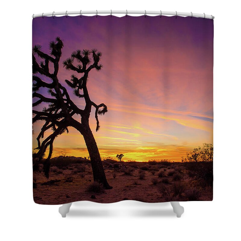 Joshua Tree Shower Curtain featuring the photograph Mojave Desert Sunset by Aileen Savage