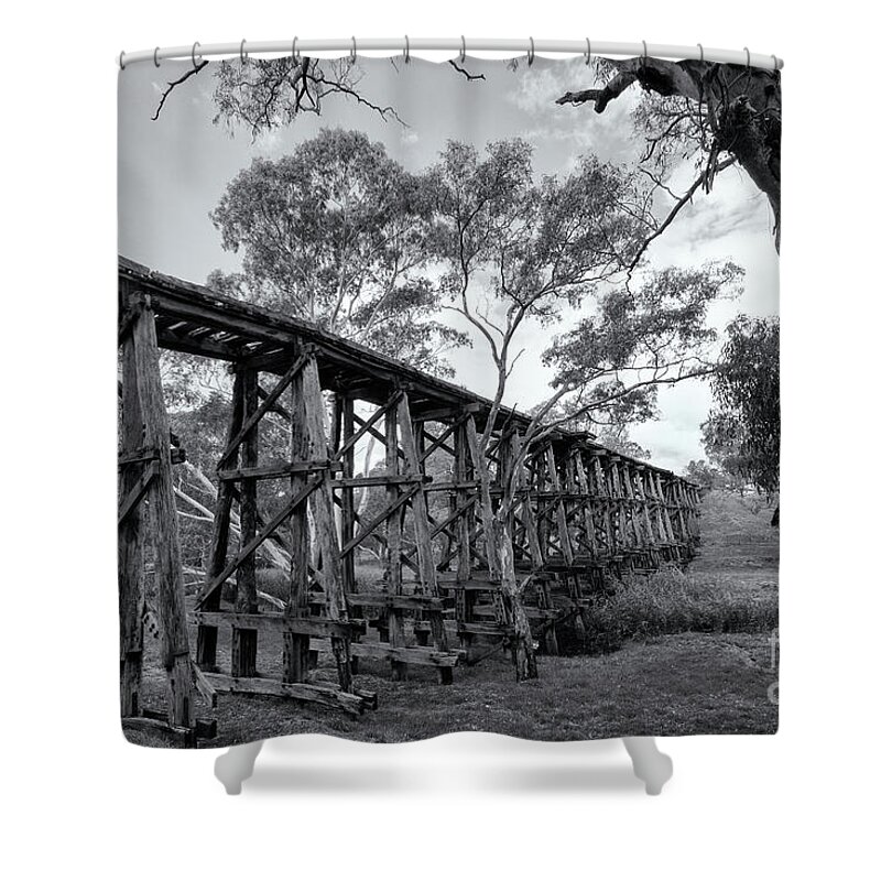 Bridge Shower Curtain featuring the photograph Mollisons Creek Trestle Bridge by Linda Lees