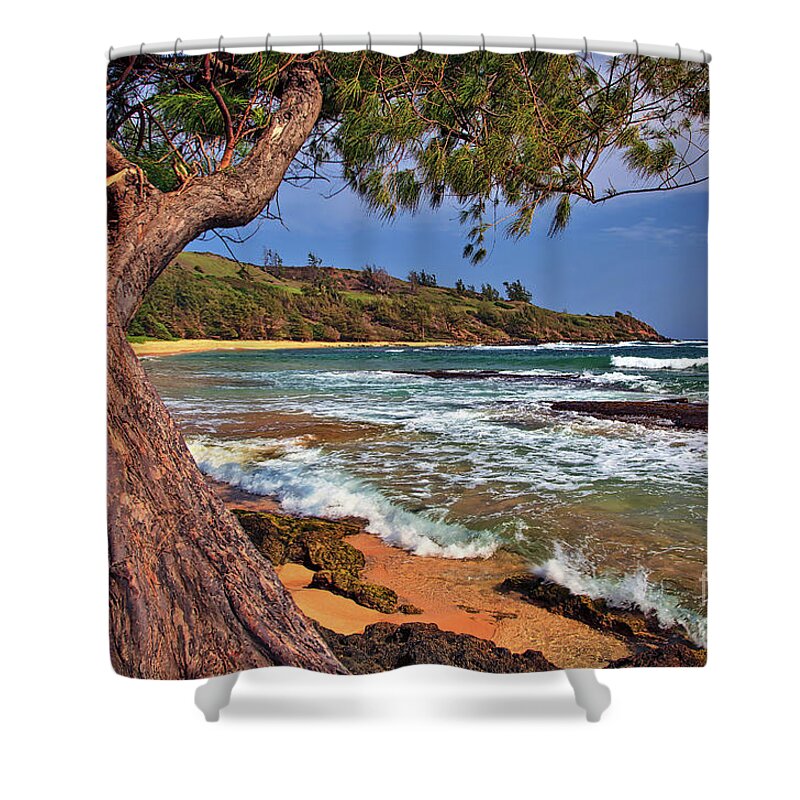 Moloa'a Beach Shower Curtain featuring the photograph Moloaa Beach on the island of Kauai, Hawaii, United States by Sam Antonio
