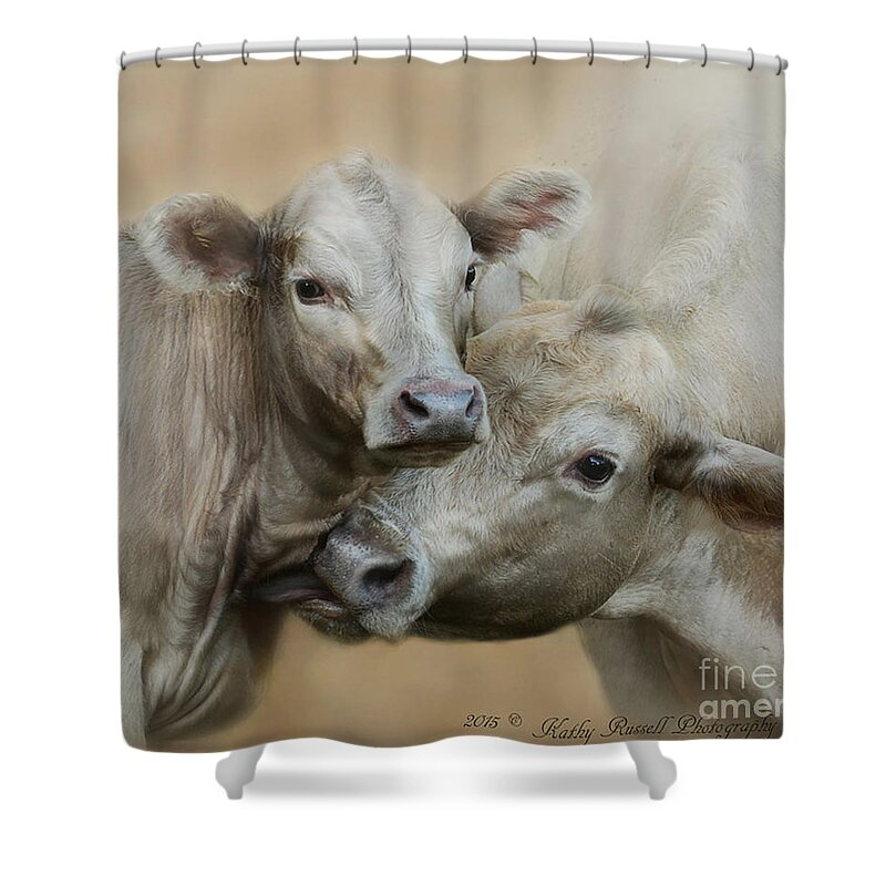Cow Shower Curtain featuring the photograph Mom and Babe by Kathy Russell