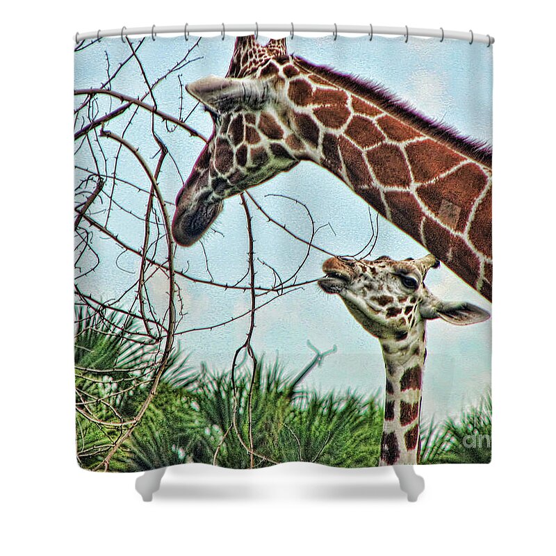 Mother Shower Curtain featuring the photograph Momma by Traci Cottingham